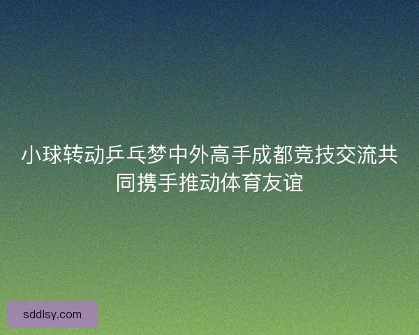 小球转动乒乓梦中外高手成都竞技交流共同携手推动体育友谊